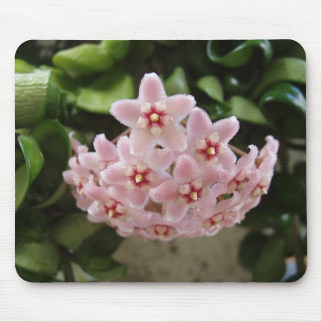 Mousepad Linda Violeta Africana (Frente)
