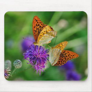 Mousepad Lindas Borboletas