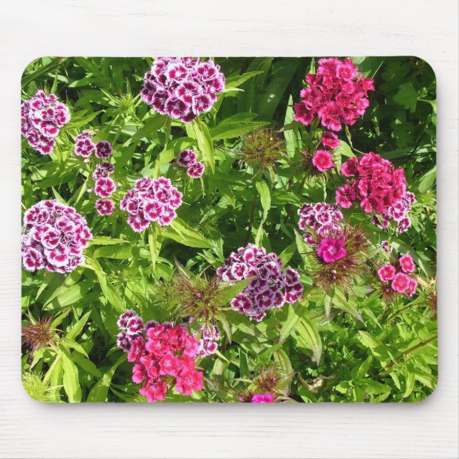 Mousepad lindas flores coloridas, cravo (Frente)
