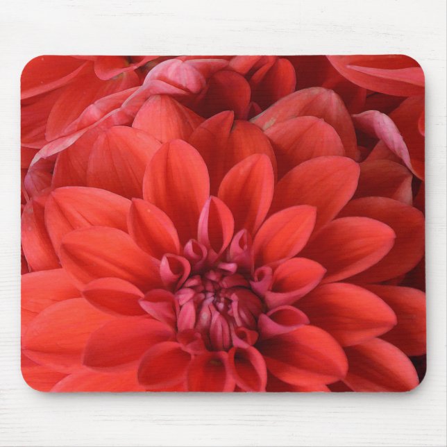Mousepad Lindas flores vermelhas da dália (Frente)