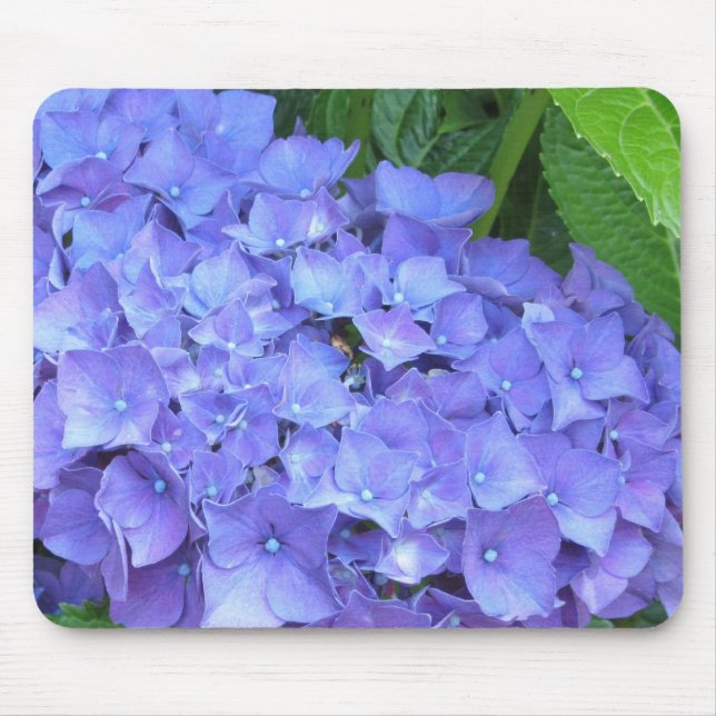 Mousepad Lindas Hydrangeas Roxas (Frente)