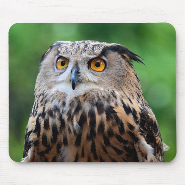 Mousepad Lindo Rato de Tecido com Coruja (Frente)