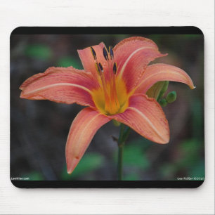Mousepad Lindos Artigos e Presentes de Hemerocallis Cor de