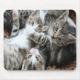 Mousepad Lindos Gatinhos Tricolor Cinza/Adicione a Foto do 