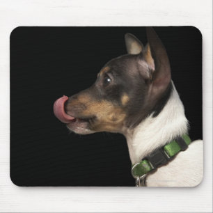 Mousepad Língua fora do rato Terrier preto e branco