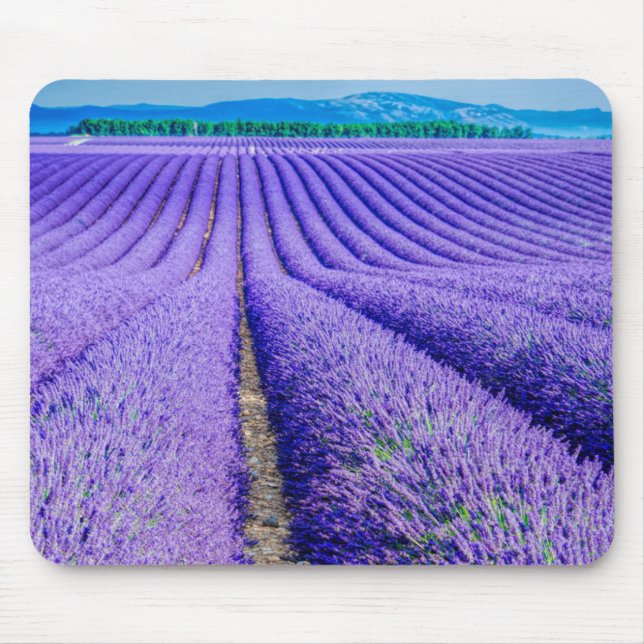 Mousepad Linhas de Lavanda, Provença, França (Frente)
