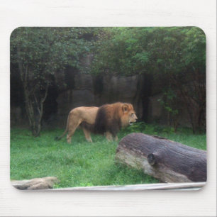 Mousepad Lion