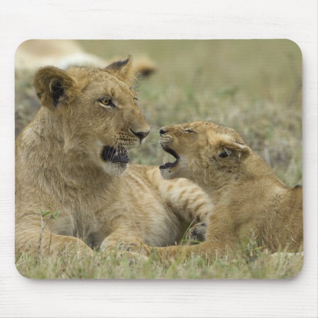 Mousepad Lion Brothers (Frente)
