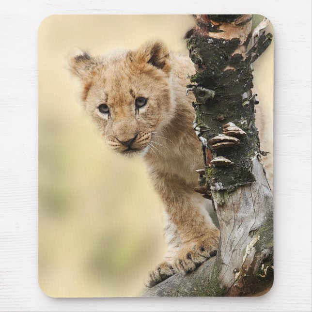 Mousepad Lion Cub Climbing Tree Cute Photo (Frente)
