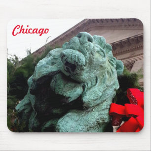 Mousepad Lion do Sul no Instituto de Arte de Chicago