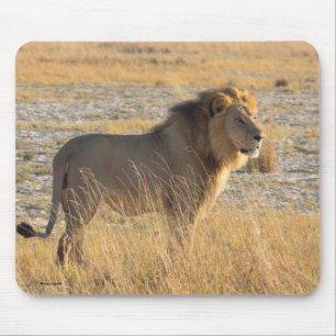 MOUSEPAD LION MALE