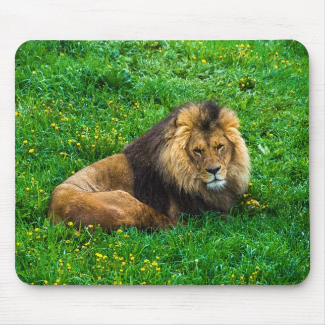 Mousepad Lion Relaxing em Foto de Grass Verde (Frente)