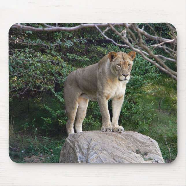 Mousepad Lionalidade (Frente)