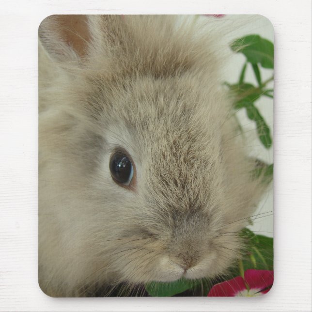 Mousepad Lionhead Bunny (Frente)