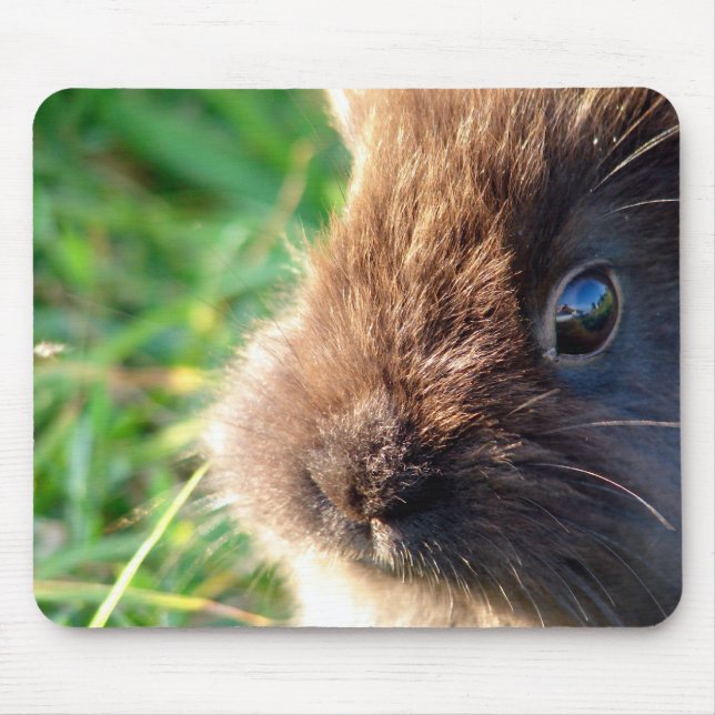 Mousepad Lionhead Bunny (Frente)