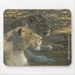 Mousepad Lions Suporte de Mouse