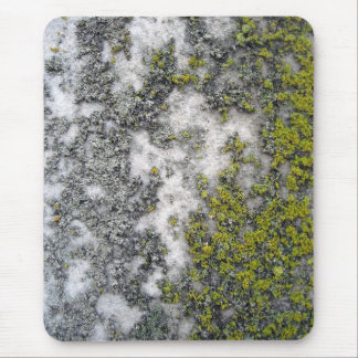 Mousepad Líquene verde no granito