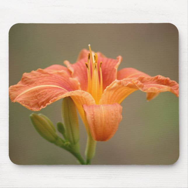 Mousepad Lírio asiático laranja (Frente)