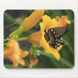 Mousepad Lírio da borboleta