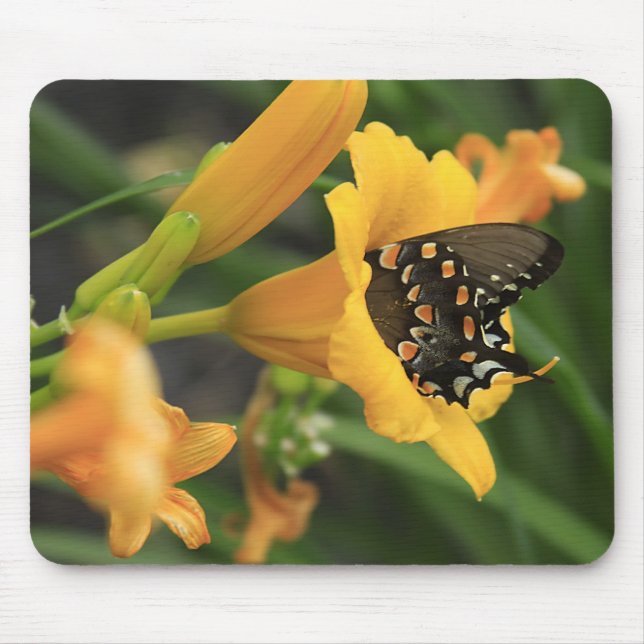 Mousepad Lírio da borboleta (Frente)