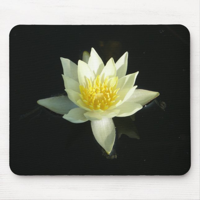 Mousepad Lírio de água branca/Lotus (Frente)