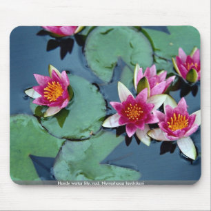 Mousepad Lírio de água résistente, vermelho, laydekeri d