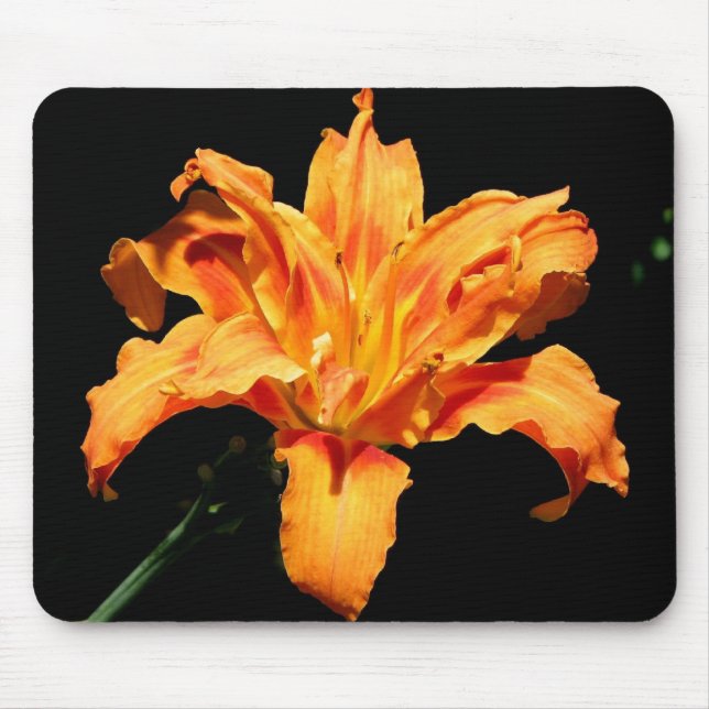 Mousepad Lírio de dia dobro (Frente)