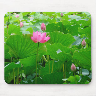 Mousepad Lírio que está alto