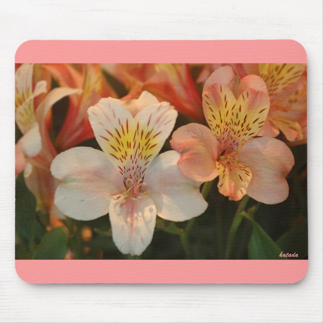 Mousepad Lírios (Frente)