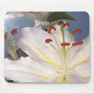Mousepad Lírios brancos do stargazer (orientalis do