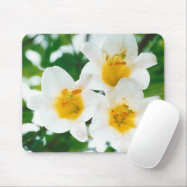 Mousepad Lírios brancos - Lily Flower Lilium candidata