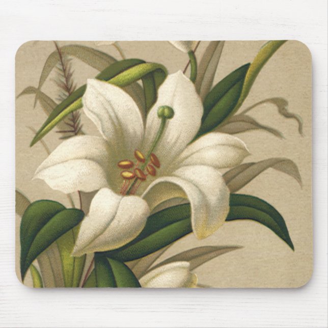 Mousepad Lírios de Páscoa Antigos, Flores Vitorianas em Flo (Frente)