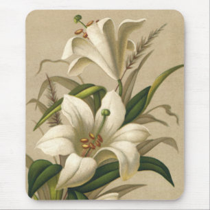 Mousepad Lírios de páscoa do vintage, flores do Victorian