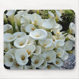 Mousepad Lírios na plantação do lírio de Calla, Formosa