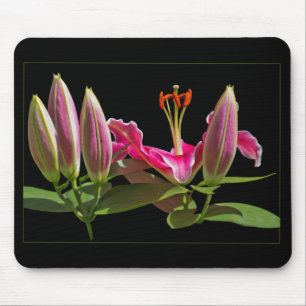 Mousepad Lírios Stargazer Botões e Flor