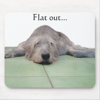 Mousepad liso do cão…