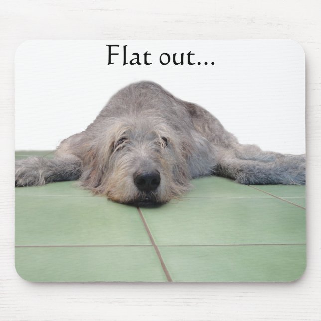 Mousepad liso do cão… (Frente)