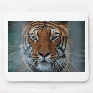 Mousepad Listras de Gato Tigre Névoa da Selva Animal
