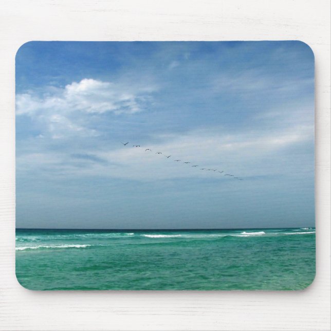 Mousepad Litoral de Florida (Frente)