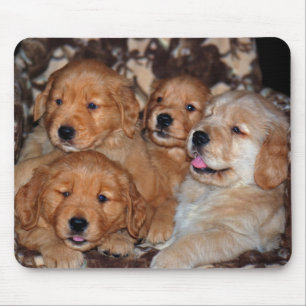 Mousepad Litro do ouro Retriever