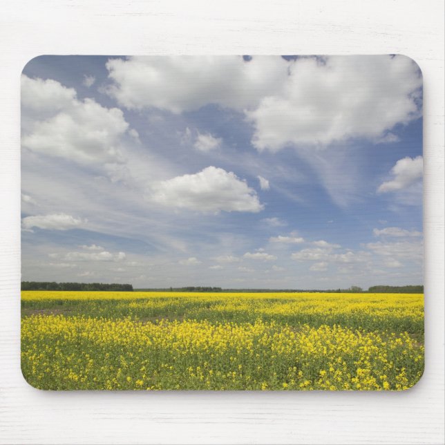 Mousepad Lituânia, Lituânia Central, Joniskis, campo de (Frente)