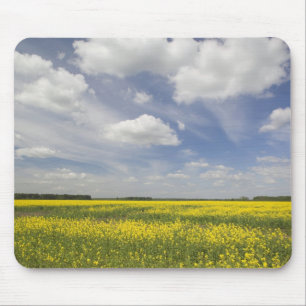 Mousepad Lituânia, Lituânia Central, Joniskis, domínio d