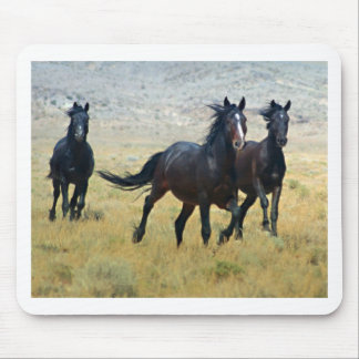 Mousepad Livre extravagante