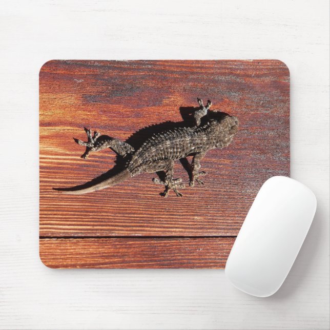 Mousepad Lizard (Com mouse)