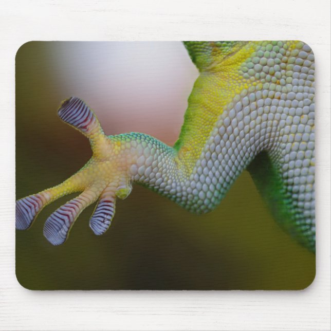 Mousepad Lizard Arm (Frente)