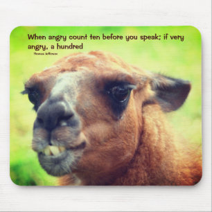 Mousepad Llama Anger Management Cote Inspiração