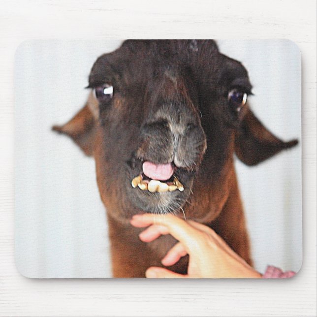Mousepad Llama Love (Frente)