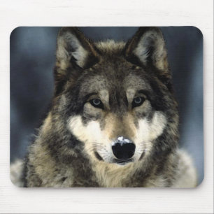 Mousepad Lobo