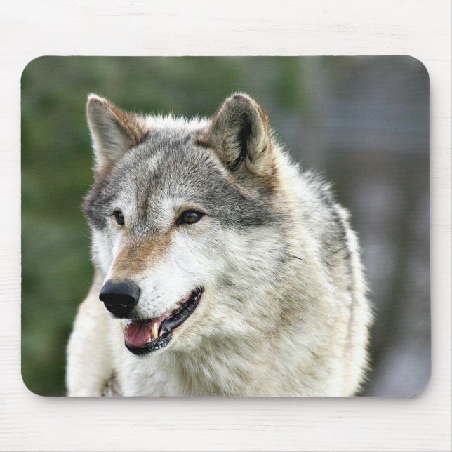 Mousepad Lobo (Frente)