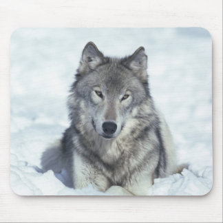 Mousepad Lobo